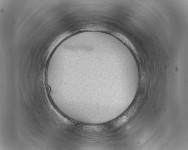 X0000060800855200511241908