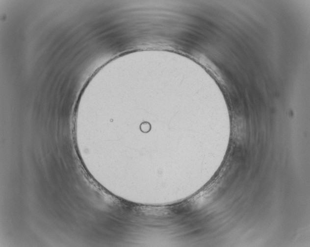 X0000060800856200511241908