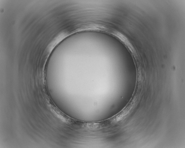 X0000060800858200511241908