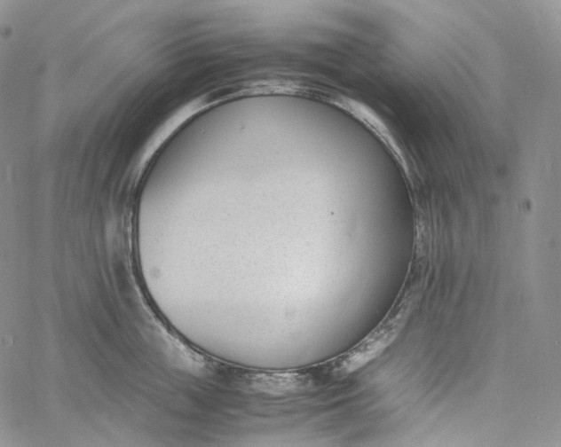 X0000060800859200511241908