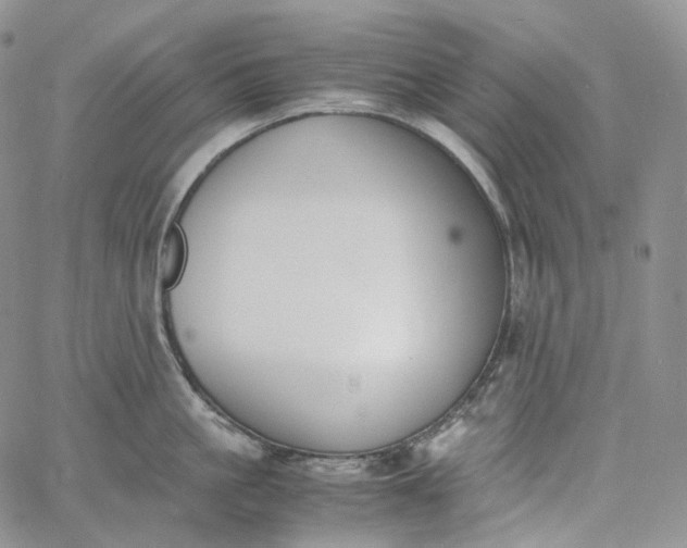 X0000060800861200511241908