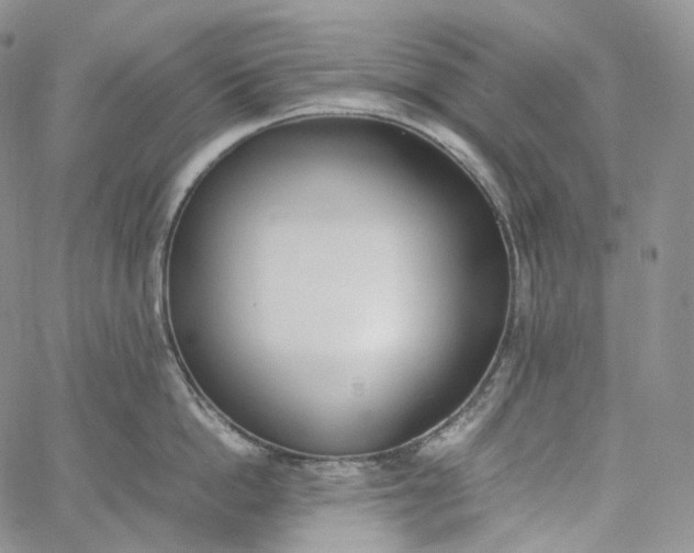 X0000060800862200511241908