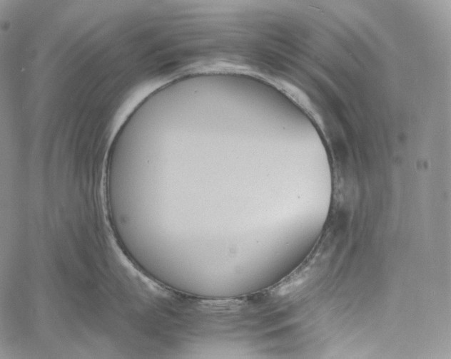 X0000060800863200511241908