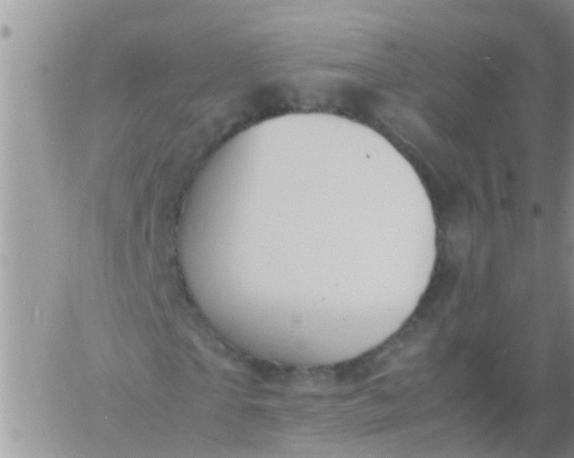 X0000060800865200511241908