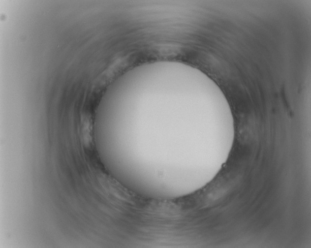 X0000060800866200511241908