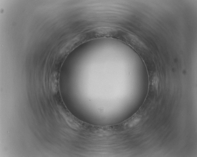 X0000060800868200511241908