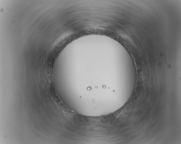 X0000060800870200511241908