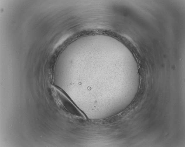 X0000060800871200511241908