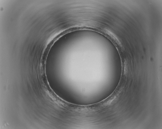 X0000060800876200511241907