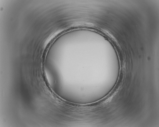 X0000060800877200511241907