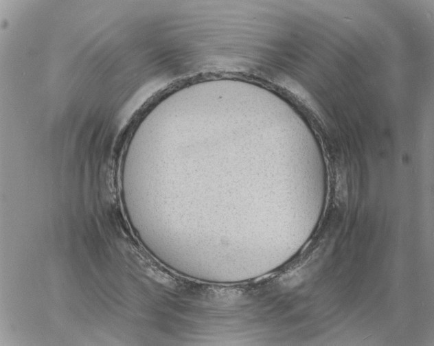 X0000060800878200511241907