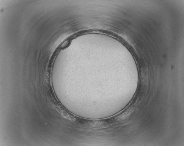 X0000060800879200511241907