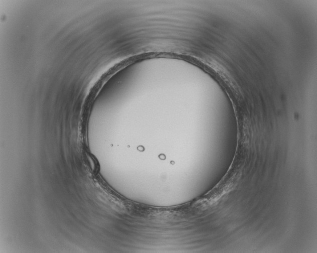 X0000060800880200511241907