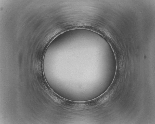 X0000060800881200511241907