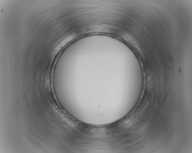 X0000060800882200511241907