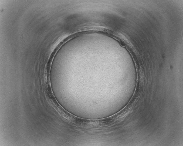 X0000060800883200511241907