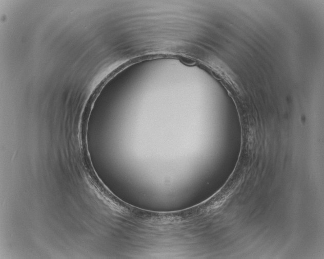 X0000060800884200511241907