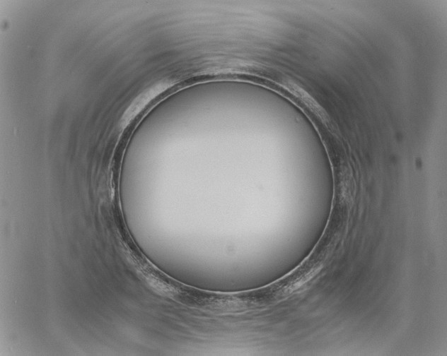 X0000060800885200511241907