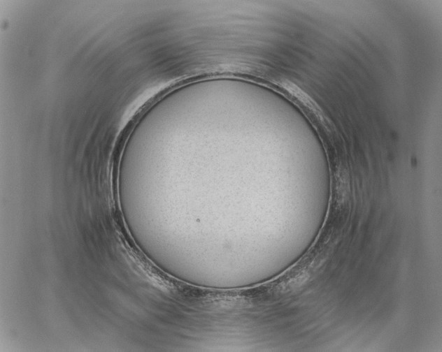 X0000060800886200511241907