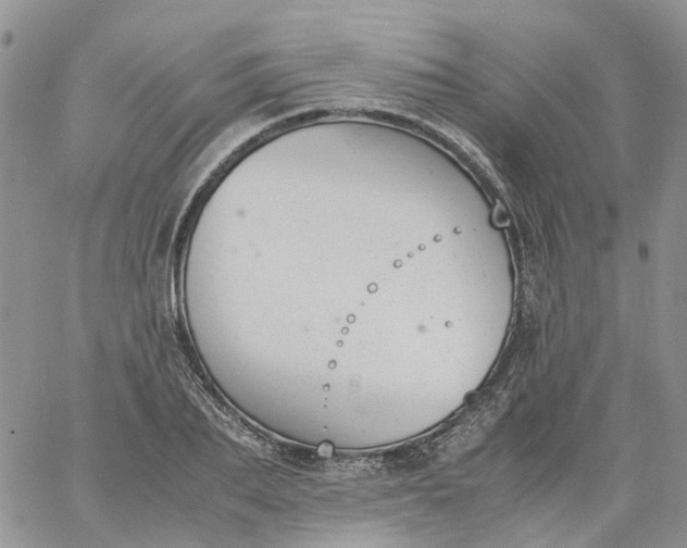 X0000060800887200511241907