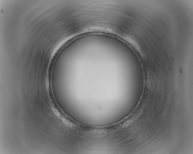 X0000060800888200511241907