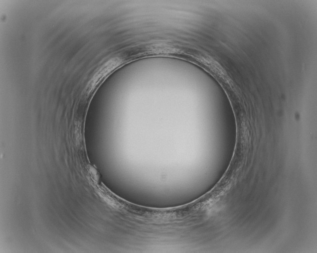 X0000060800889200511241907