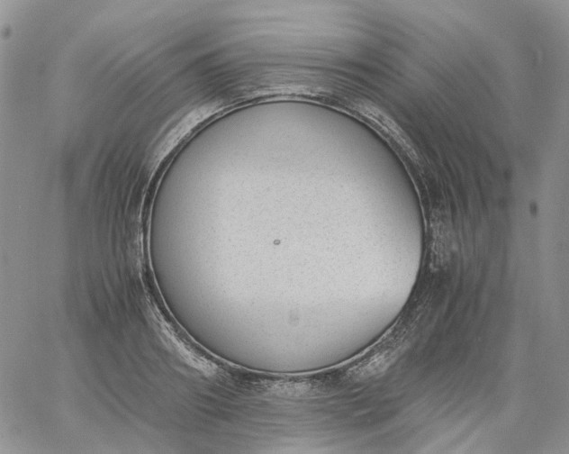 X0000060800890200511241907