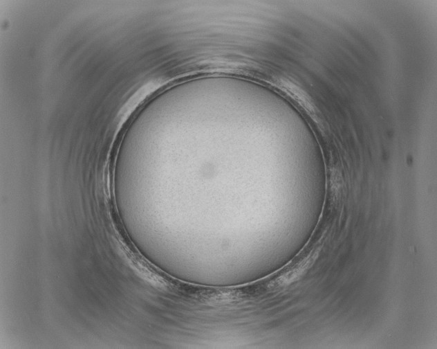 X0000060800891200511241907