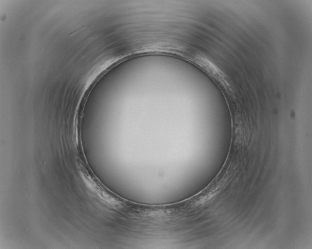 X0000060800892200511241907