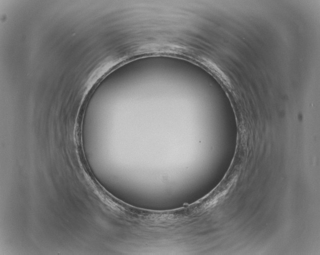 X0000060800893200511241907