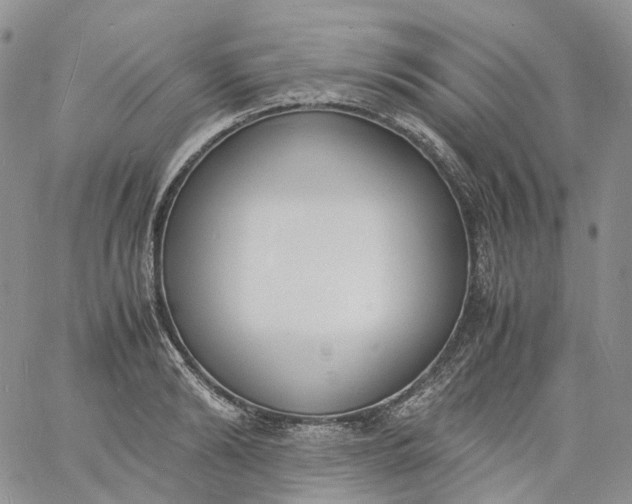 X0000060800894200511241907