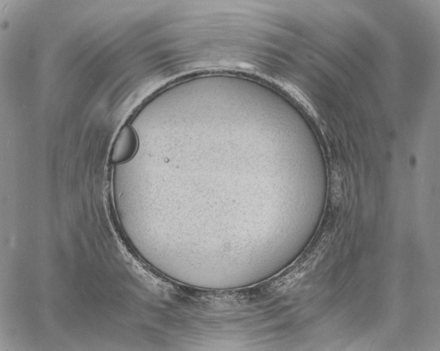 X0000060800895200511241907