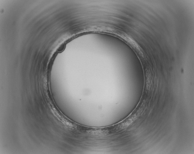 X0000060800896200511241907