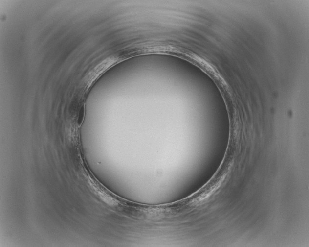 X0000060800897200511241907