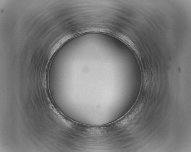 X0000060800898200511241907