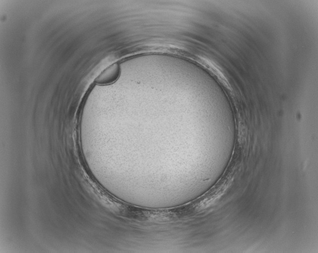 X0000060800899200511241907