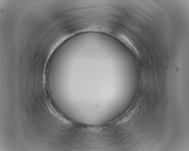 X0000060800900200511241907