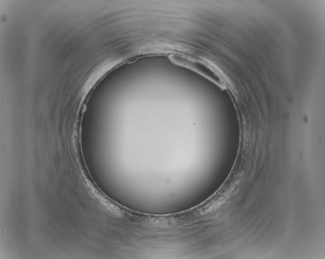 X0000060800901200511241907