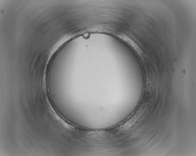 X0000060800902200511241907