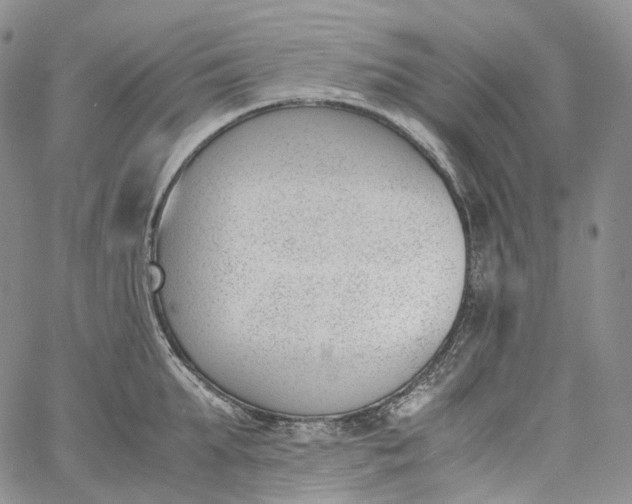 X0000060800903200511241907