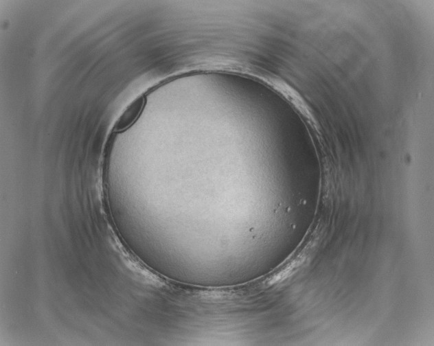 X0000060800904200511241907