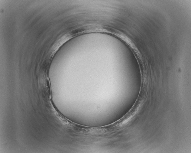 X0000060800905200511241907