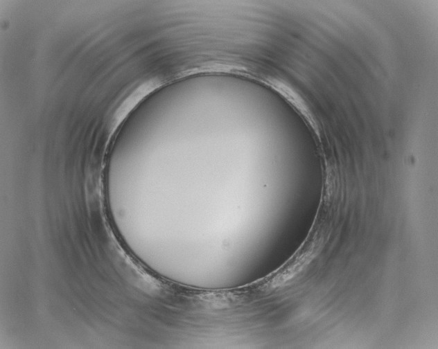 X0000060800906200511241907