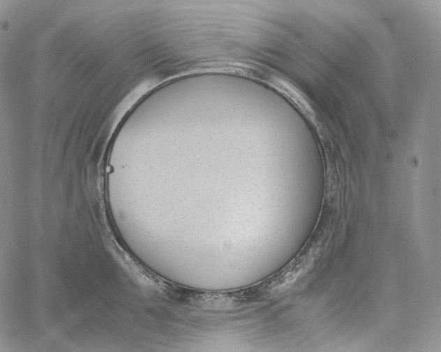 X0000060800907200511241907