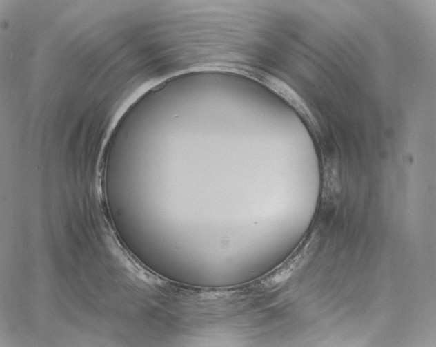 X0000060800908200511241907