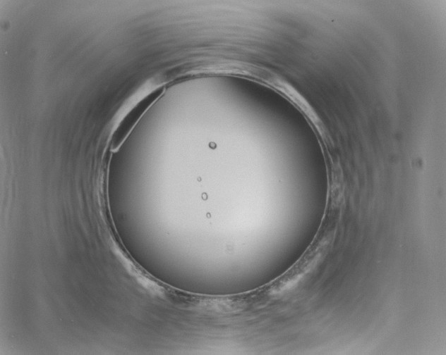 X0000060800909200511241907