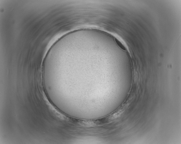 X0000060800911200511241907