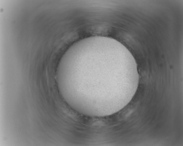 X0000060800913200511241906