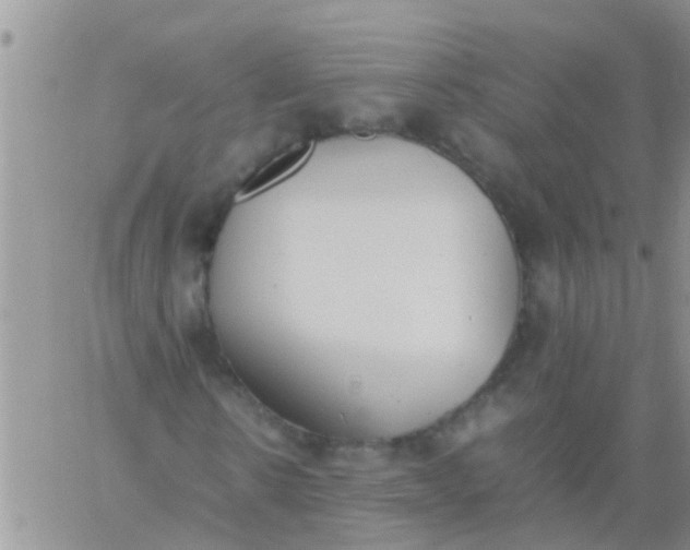 X0000060800914200511241906