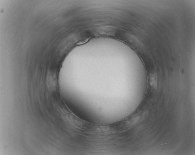 X0000060800915200511241906